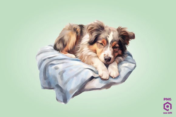 Reviewing Sleeping Australian Shepherd Dog for Real Embroidery Projects