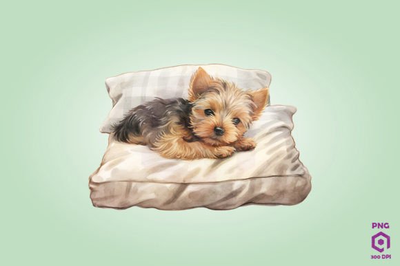 Sleeping Yorkshire Terrier Dog: A Designer’s Field Test